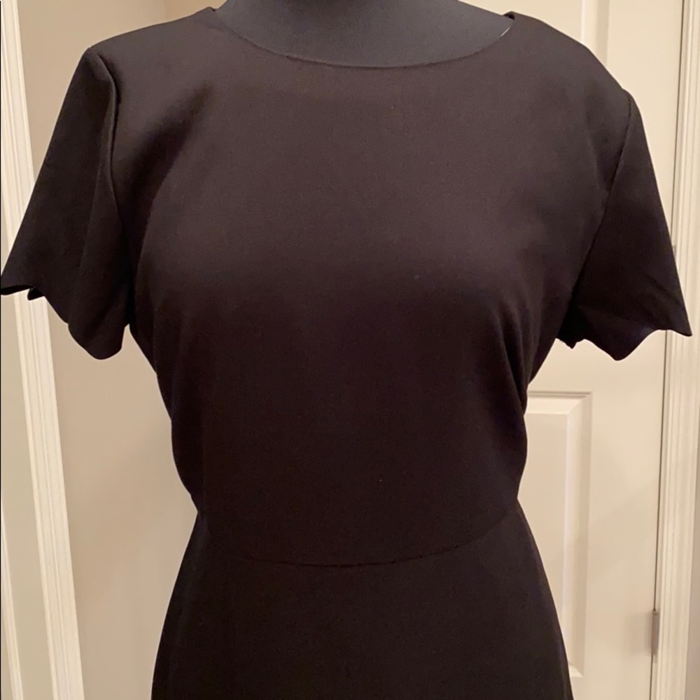 NWT LOFT scalloped edge dress